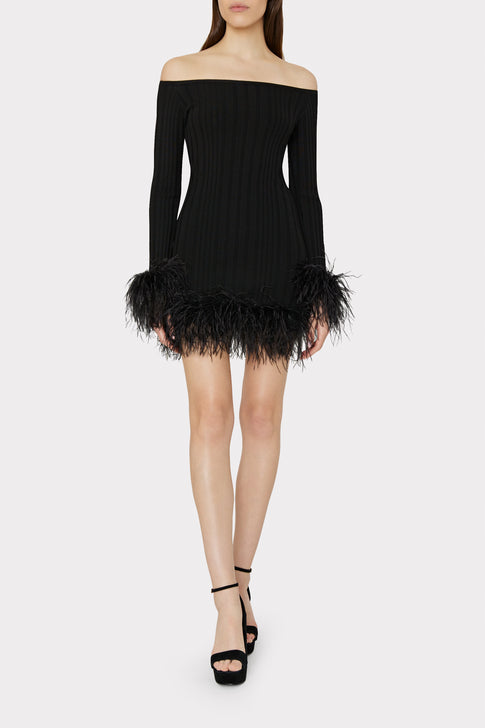 Black Feather Trim Dress – CHANCE