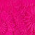 Fuchsia Swatch